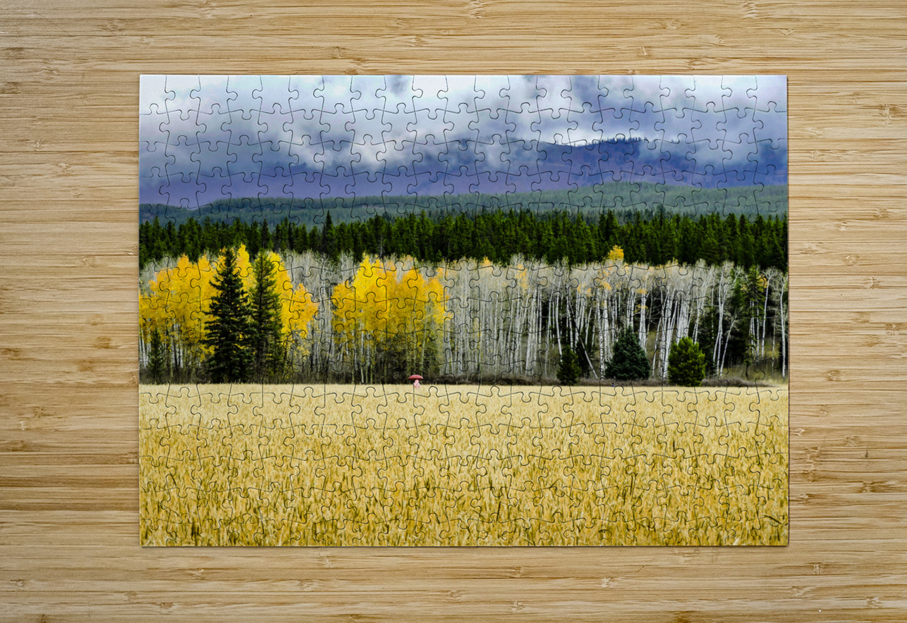 Teton Red Umbrella Norma Brandsberg Photography Puzzle printing