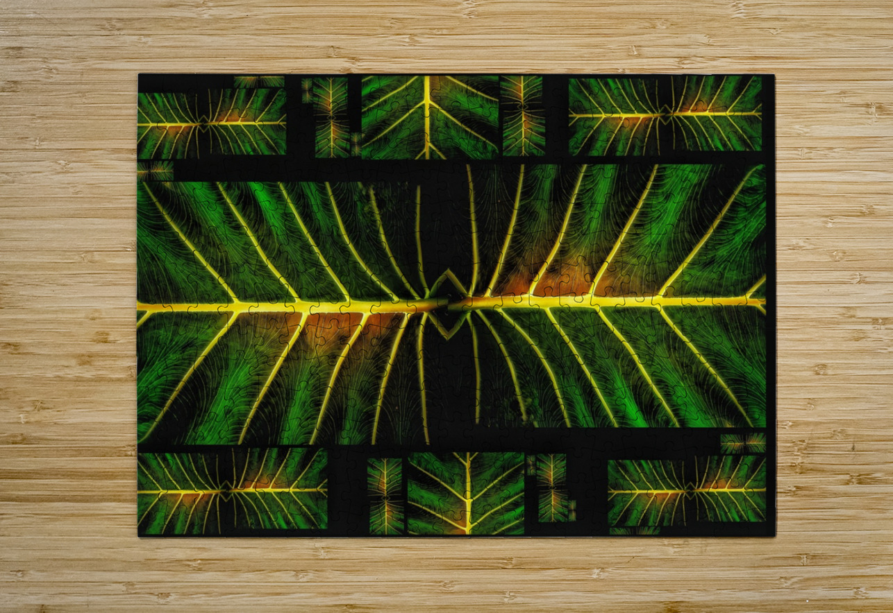 V1239 Natalie Stanislavsky Puzzle printing