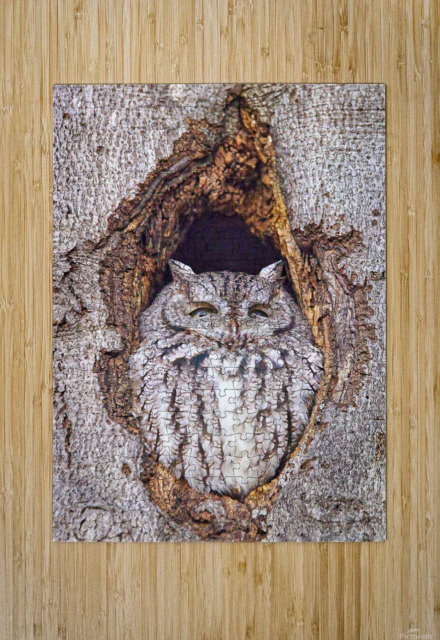 Duc1 SHARPEYE Puzzle printing