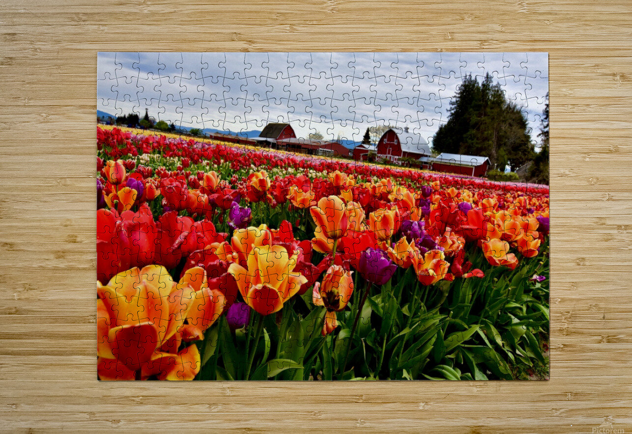 Field of Glory  Limone Photography Puzzle printing
