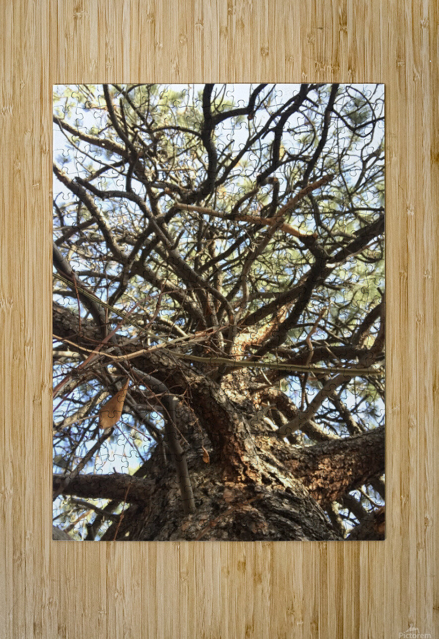 Gnarly Tree Eyespy Puzzle printing