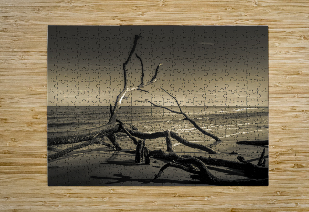 Hunting Island Beach Driftwood Shadows Norma Brandsberg Photography Puzzle printing
