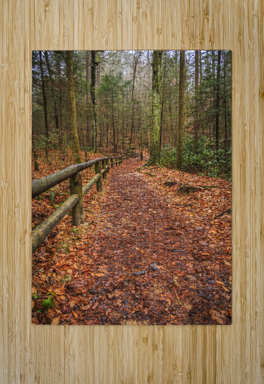 Store Georgia 5L3A5708 Tono Chavez Puzzle printing