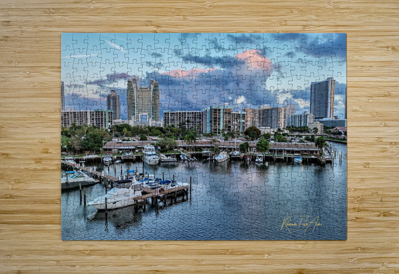 The Diplomat 10 DomaraArtscape Puzzle printing