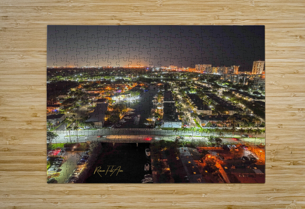 The Diplomat 2 DomaraArtscape Puzzle printing