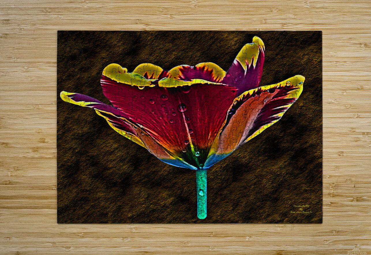 Tulip Art ImagesAsArt By John Louis Benzin Puzzle printing