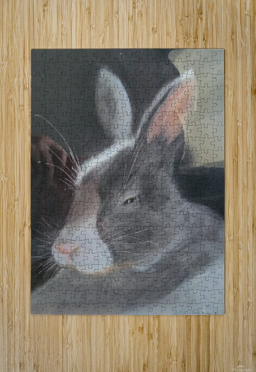 Sleepy Bunny Irene Zajac Puzzle printing