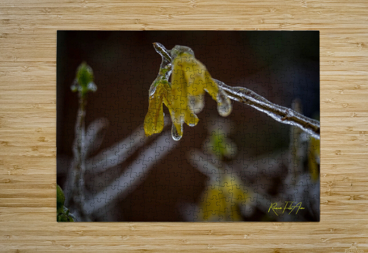 frozen 1 DomaraArtscape Puzzle printing