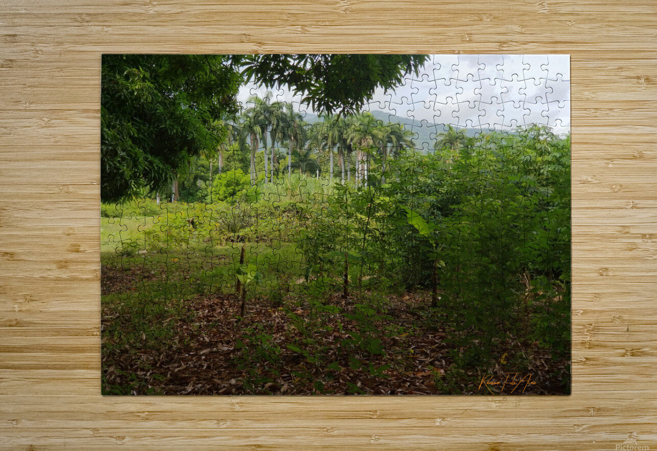 Nature   DomaraArtscape Puzzle printing