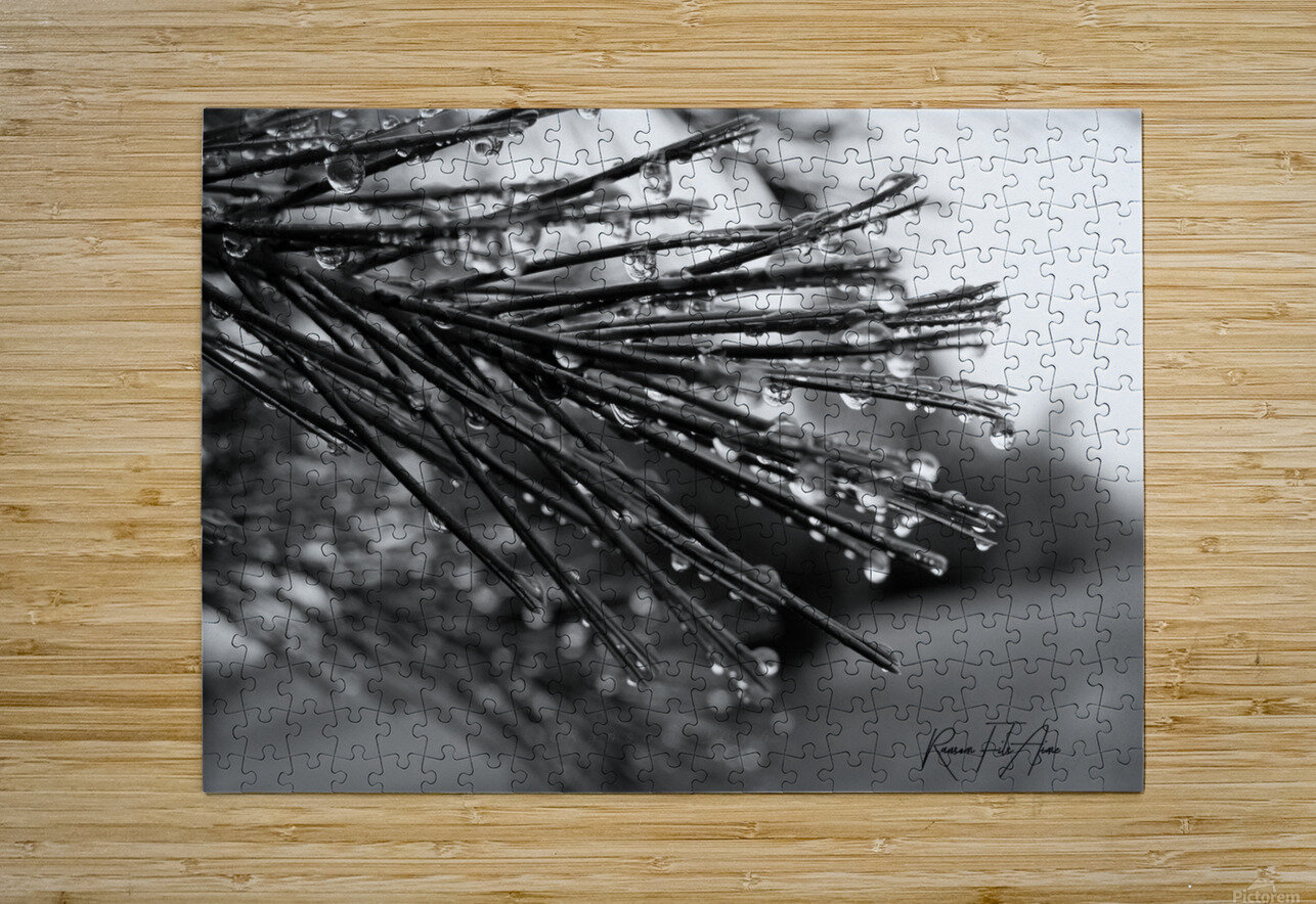 Wet pines DomaraArtscape Puzzle printing
