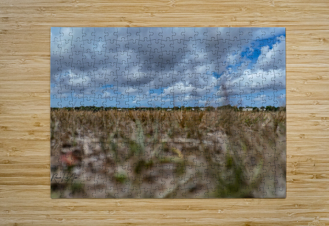 Celery field   DomaraArtscape Puzzle printing