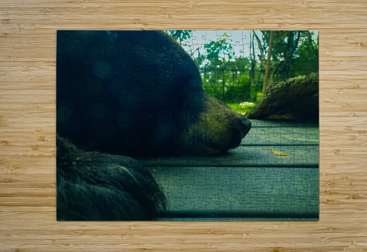Bear On Deck EYE AM STUDIOS Puzzle printing