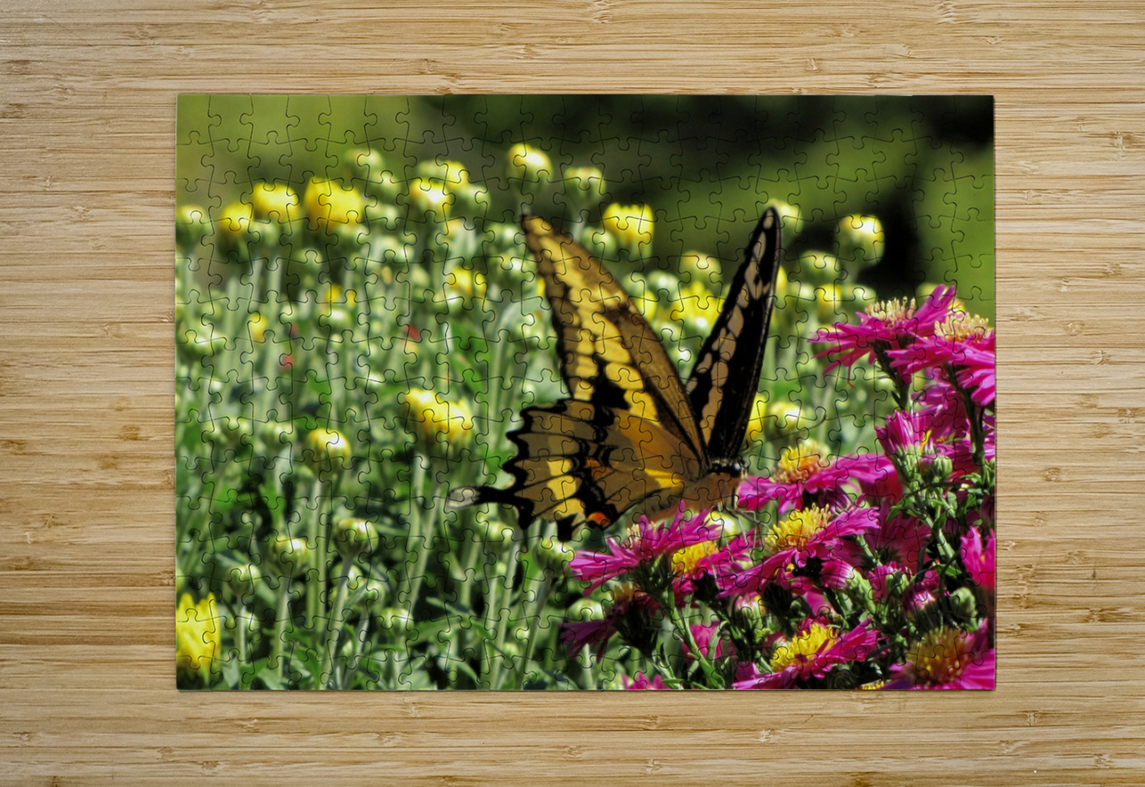 017 Sheela Balcome Puzzle printing