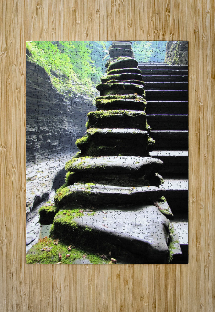 Stairway at Watkins Sheela Balcome Puzzle printing