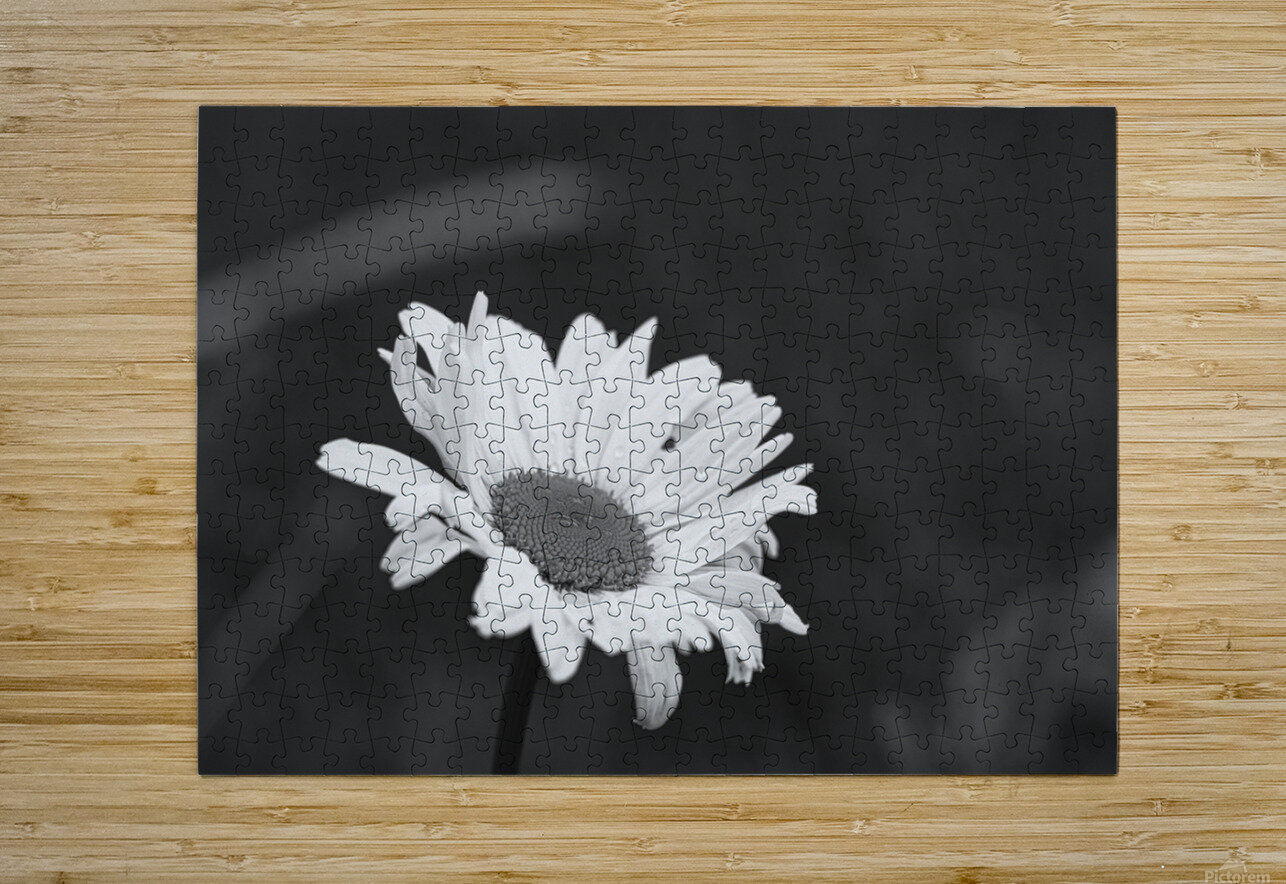 A Spring Tune Psyence Photography Puzzle printing