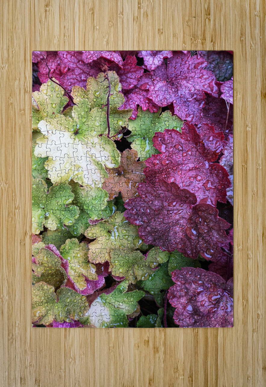 V1274 Natalie Stanislavsky Puzzle printing