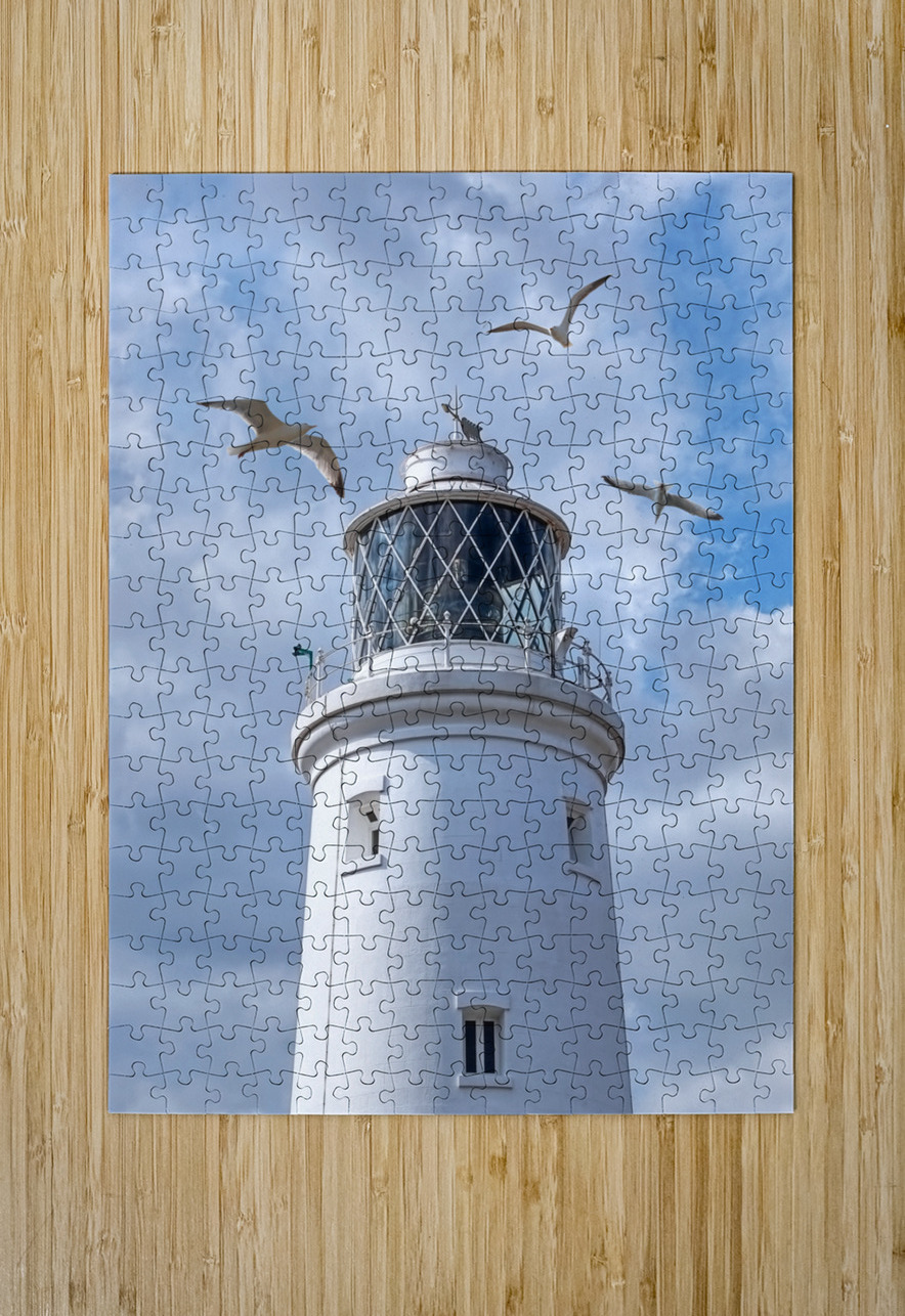 Fly Past - Seagulls Round Southwold Lighthouse Gill Billington Puzzle printing