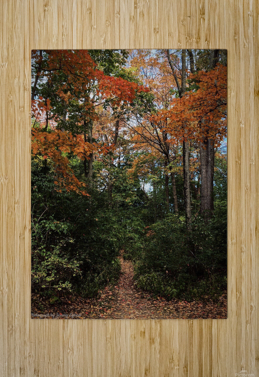 Hidden Trail in Autumn Leaves Jeremy Lyman Puzzle printing