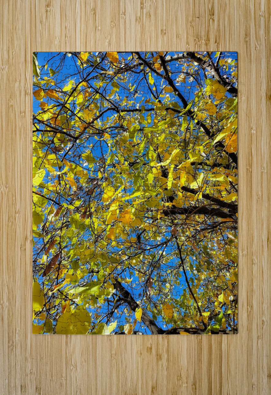 V1283 Natalie Stanislavsky Puzzle printing