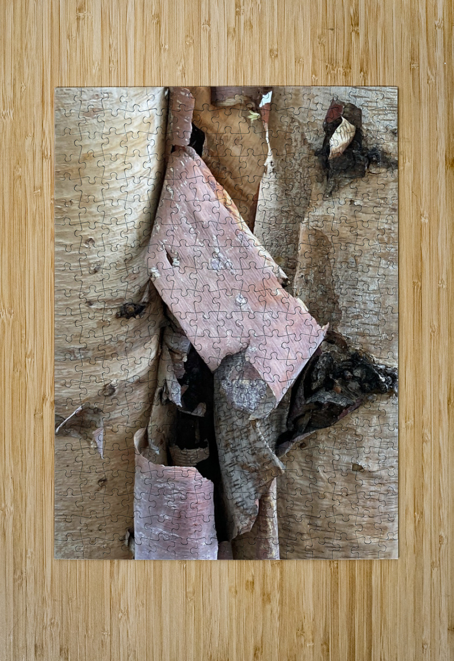 V1290 Natalie Stanislavsky Puzzle printing