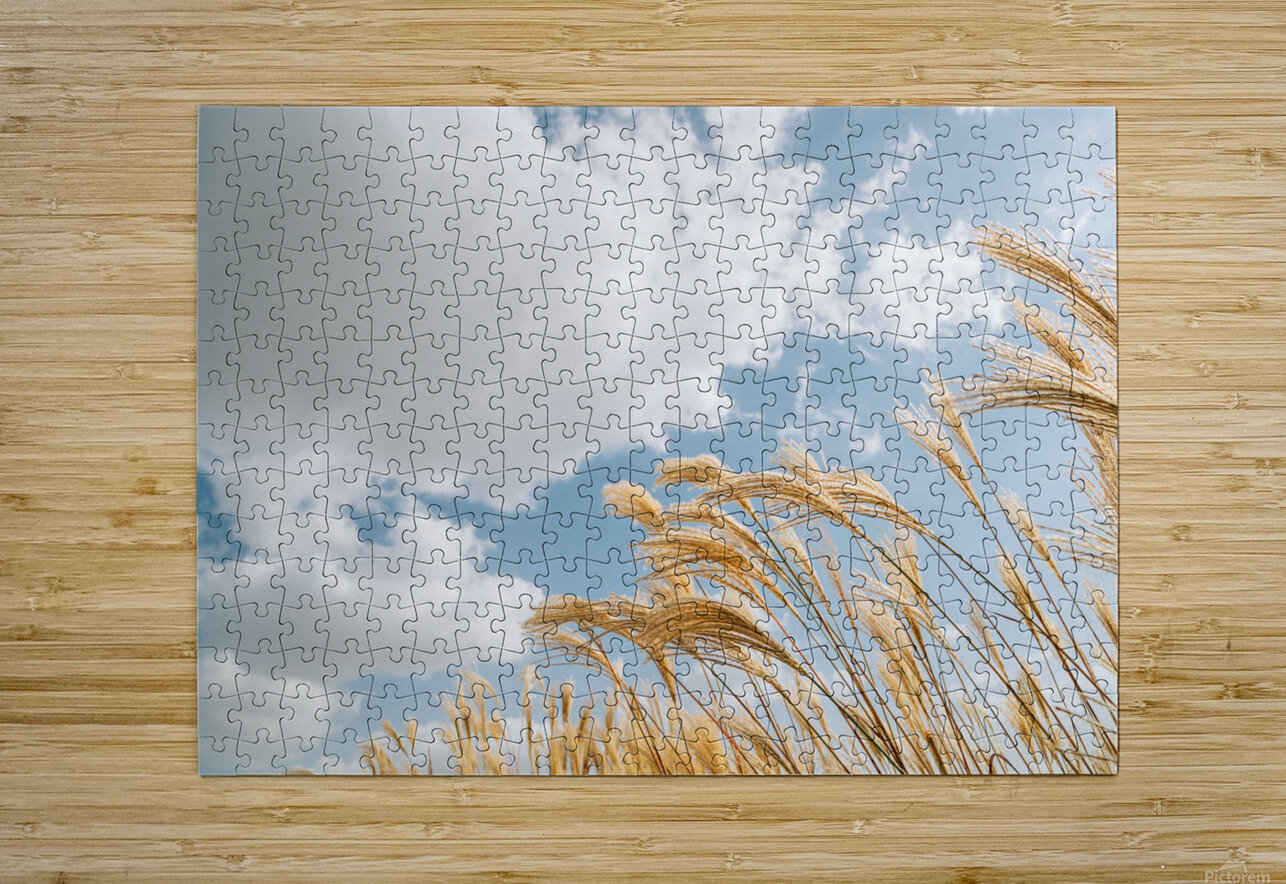 Autumn reeds sanga Puzzle printing