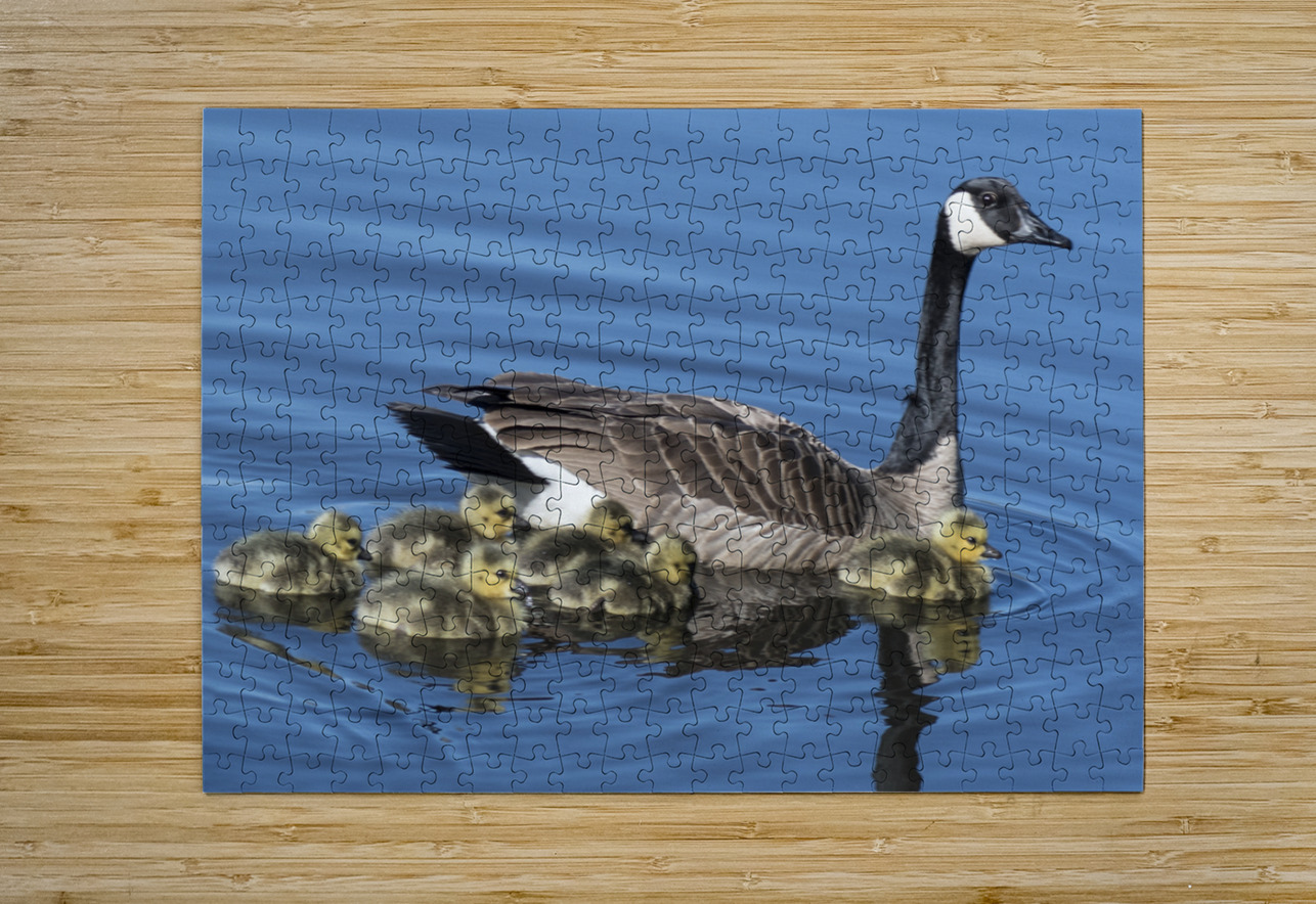 FS240422 430 FOTOSQUARES COM Puzzle printing