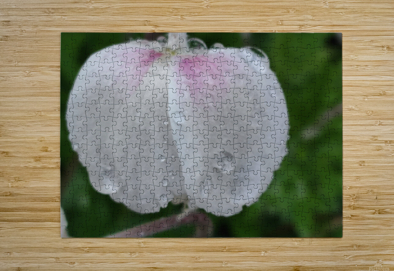 droponflowera Ana Duhne Puzzle printing