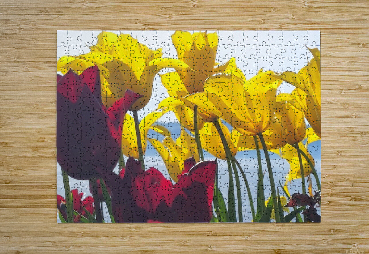 floresalrya Ana Duhne Puzzle printing