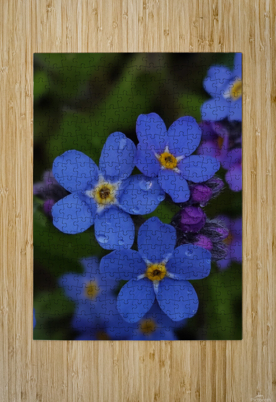 IMG 20240418 173857 Ana Duhne Puzzle printing