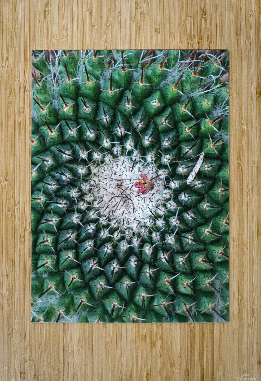 IMG 20240513 160259 Ana Duhne Puzzle printing