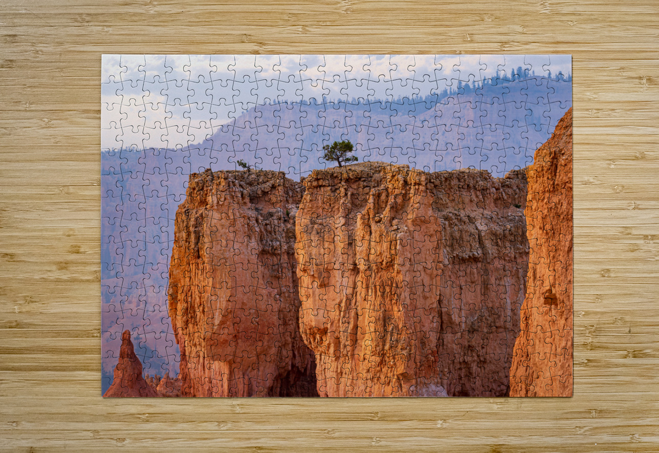 Bryce  Geoffrey Prior Puzzle printing