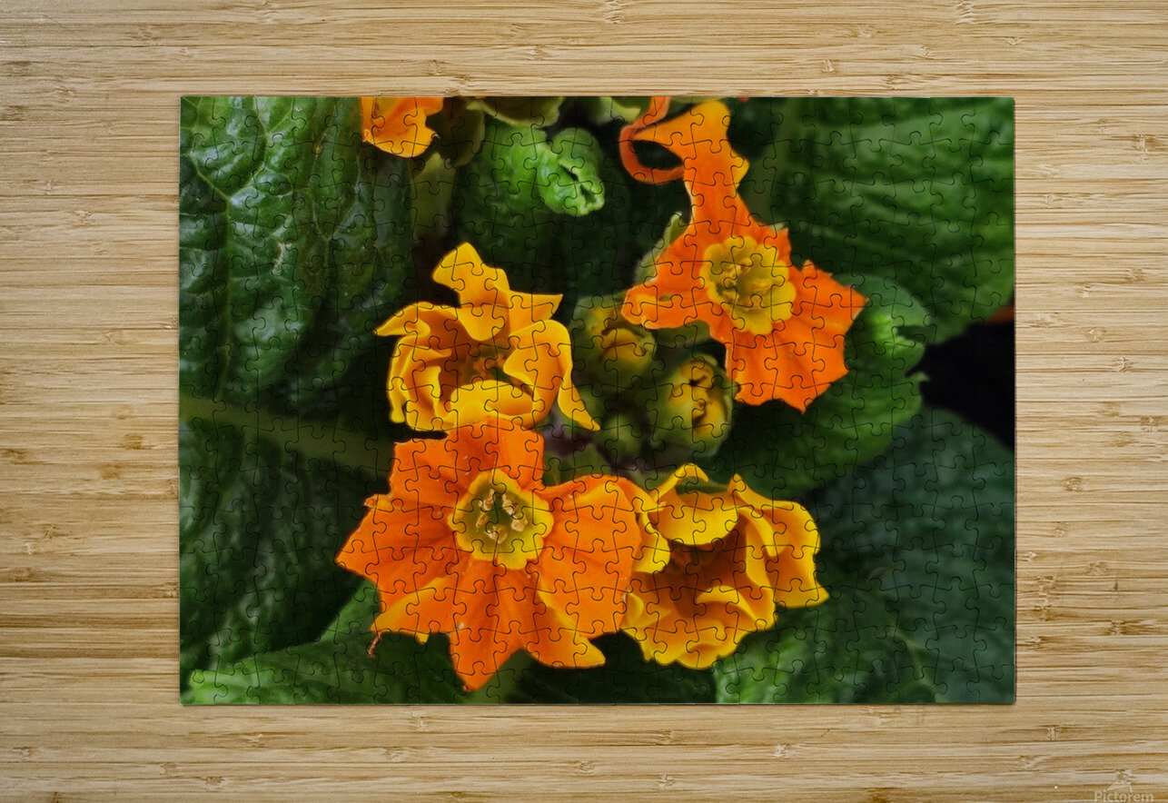 IMG 20240410 122004 Ana Duhne Puzzle printing