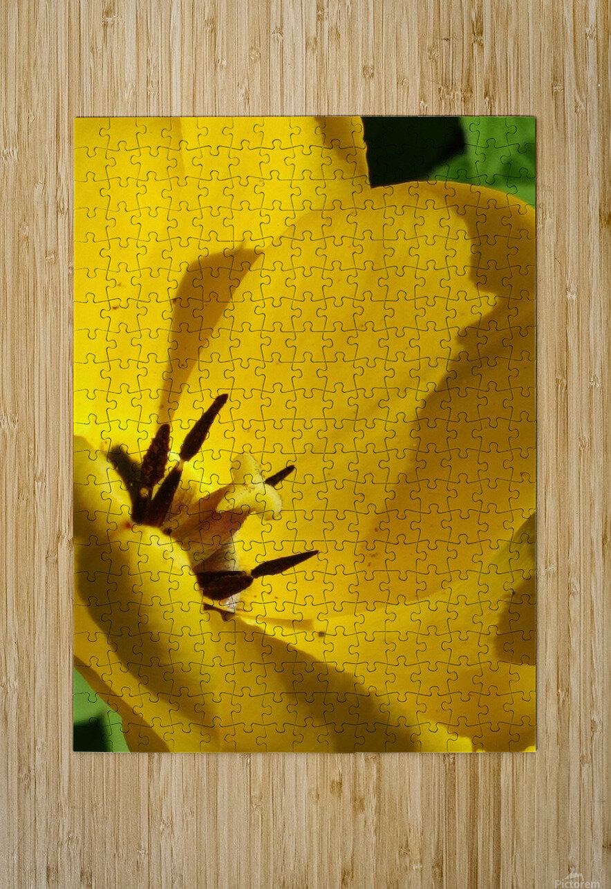 IMG 20240411 145209 Ana Duhne Puzzle printing