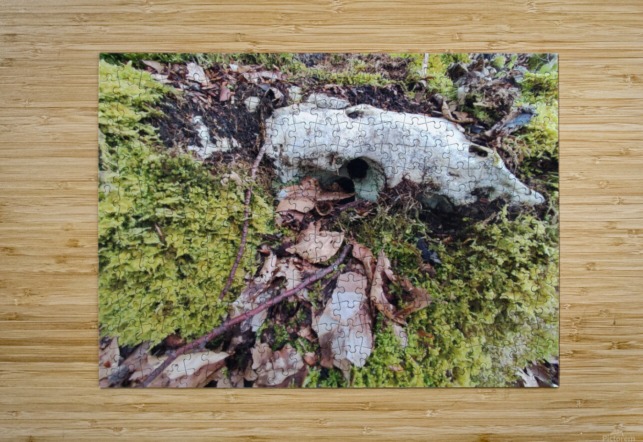 .trashed 1717284546 IMG 20240420 172757 Ana Duhne Puzzle printing