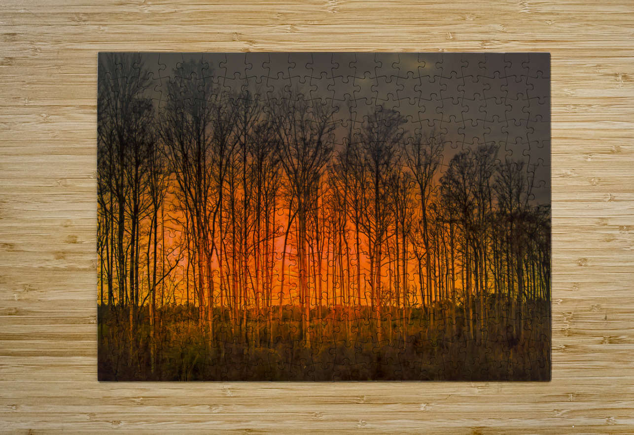 Georgia Forest Orange Sunset Silhouettes Norma Brandsberg Photography Puzzle printing