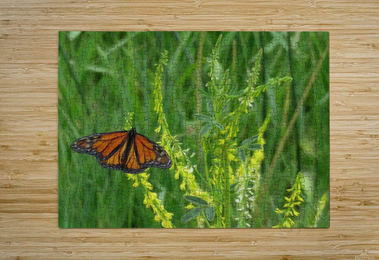 Monarch Summer Scott Muir Puzzle printing