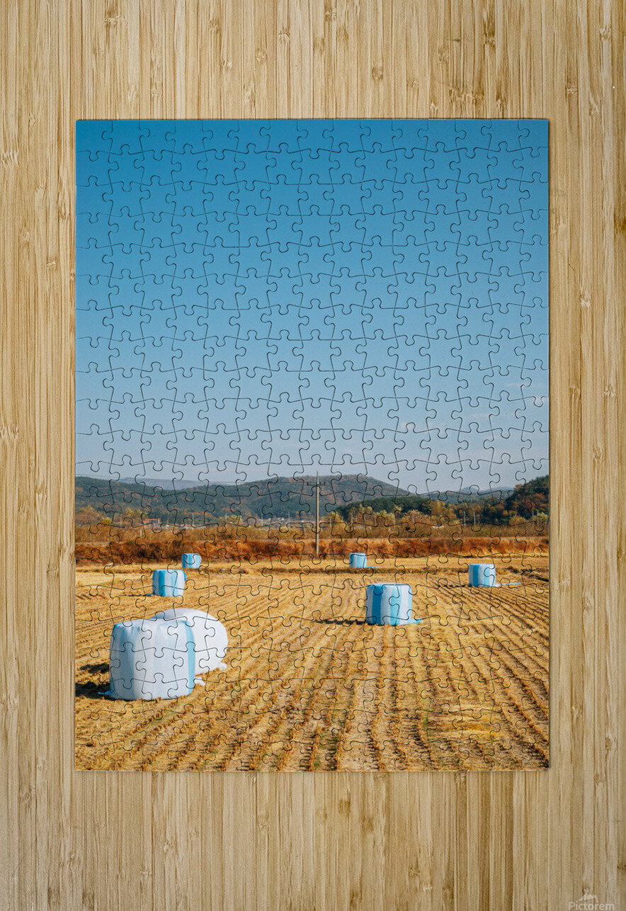 Autumn paddy field sanga Puzzle printing