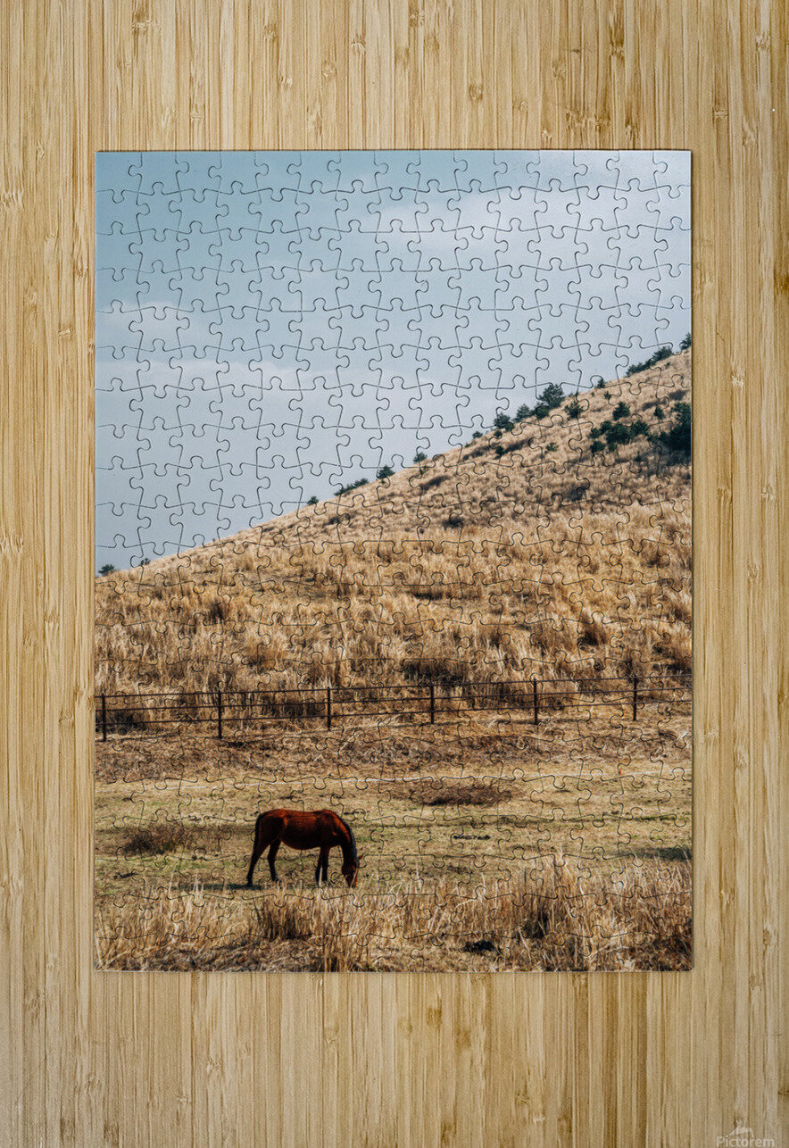 Horse on dry grass field sanga Puzzle printing