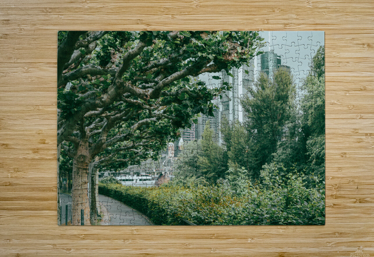 green forest city sanga Puzzle printing