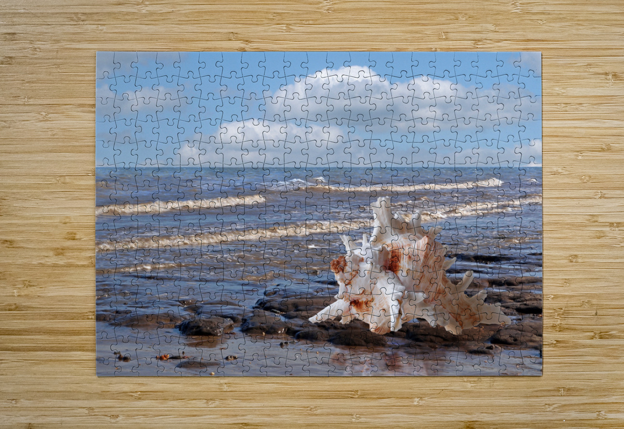Call of the Ocean - Murex Seashell Gill Billington Puzzle printing