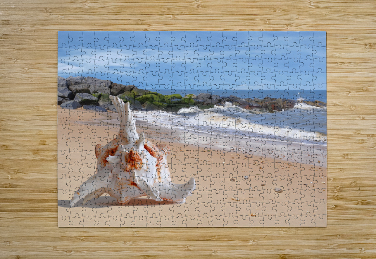 Summer Tide - Murex Seashell Gill Billington Puzzle printing