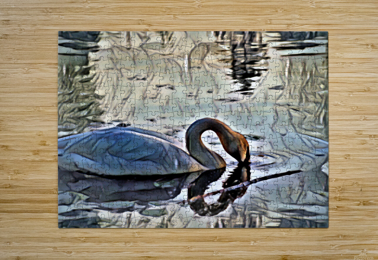 Swan on lake in the morning Flodor Puzzle printing