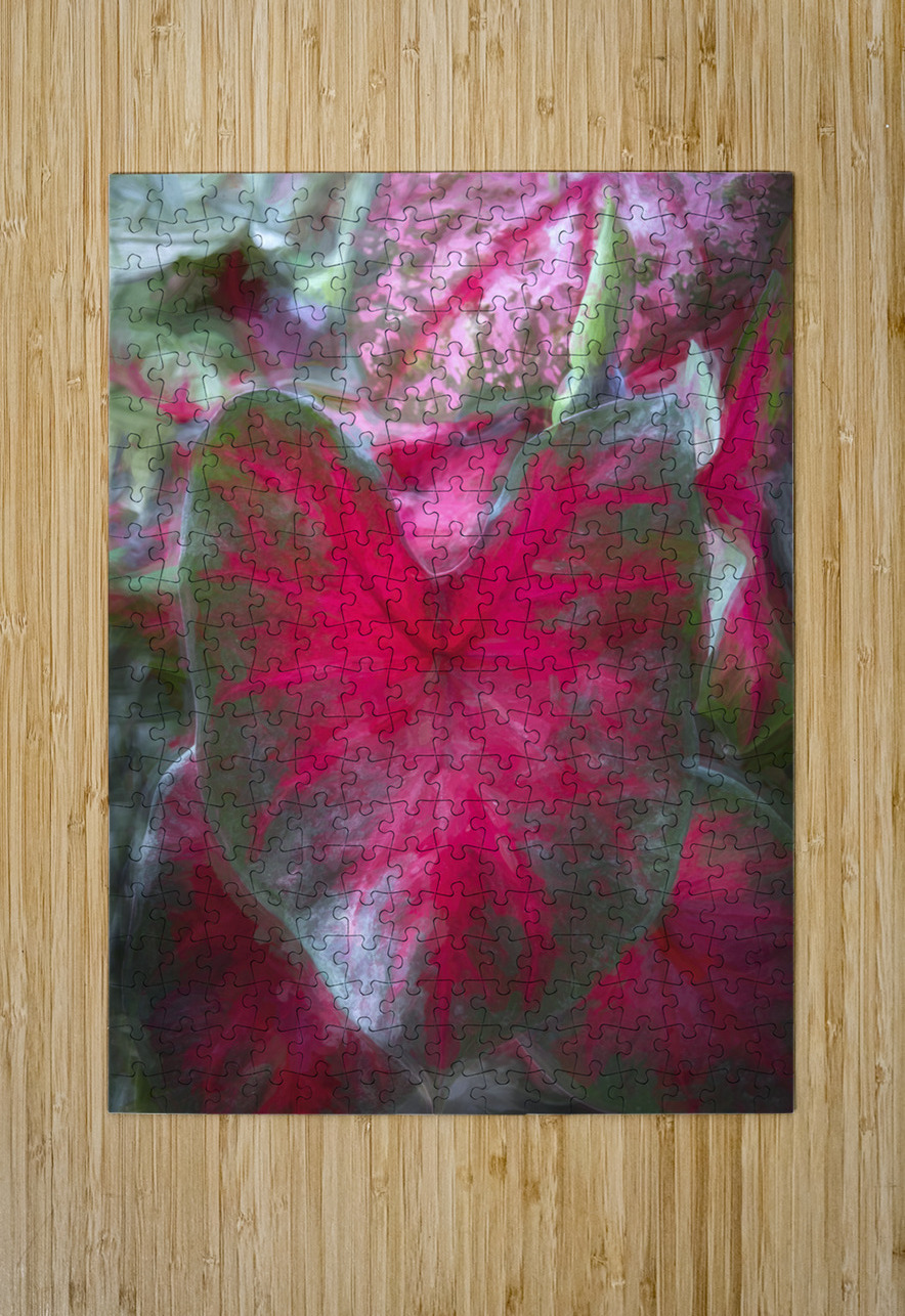 Red Caladium Plants Araceae  X100 Rich Franco Puzzle printing