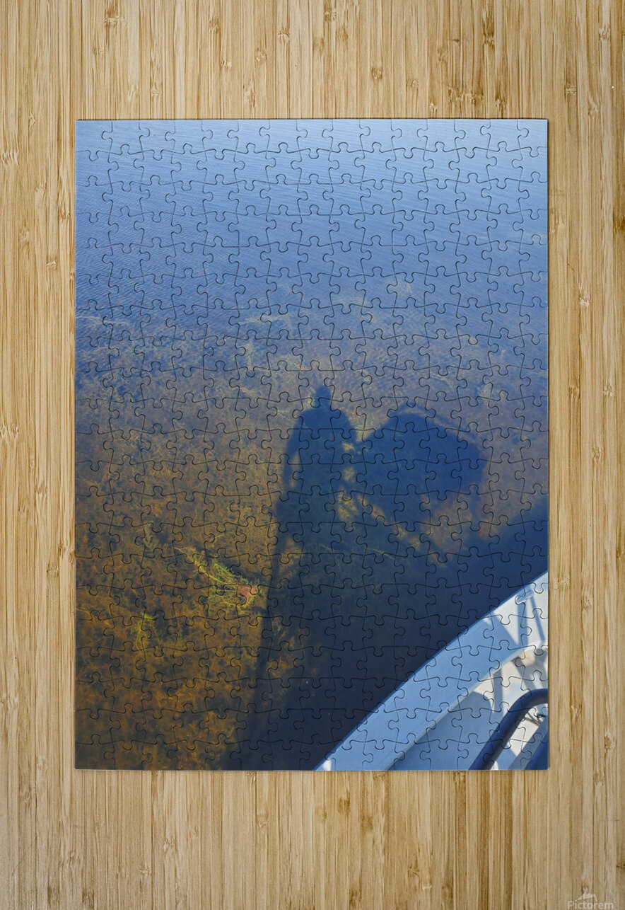 Shadows Fish Finder Art Puzzle printing