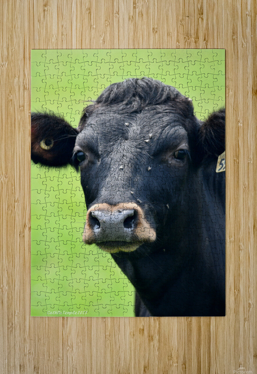 139 Cath DuTemple Puzzle printing