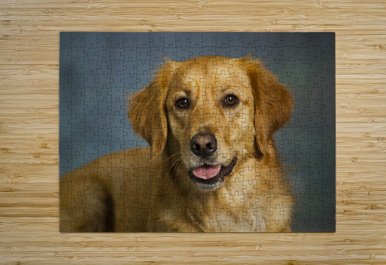 Portrait of Golden Retriever 213048 Panoramic Images Puzzle printing
