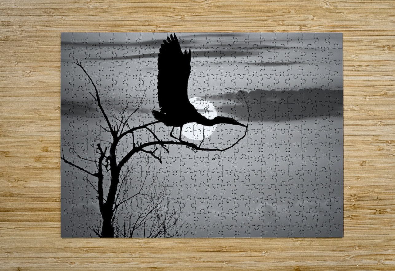 Sunrise is for the Birds by Maureen Ravnik  The Pix Puzzle printing