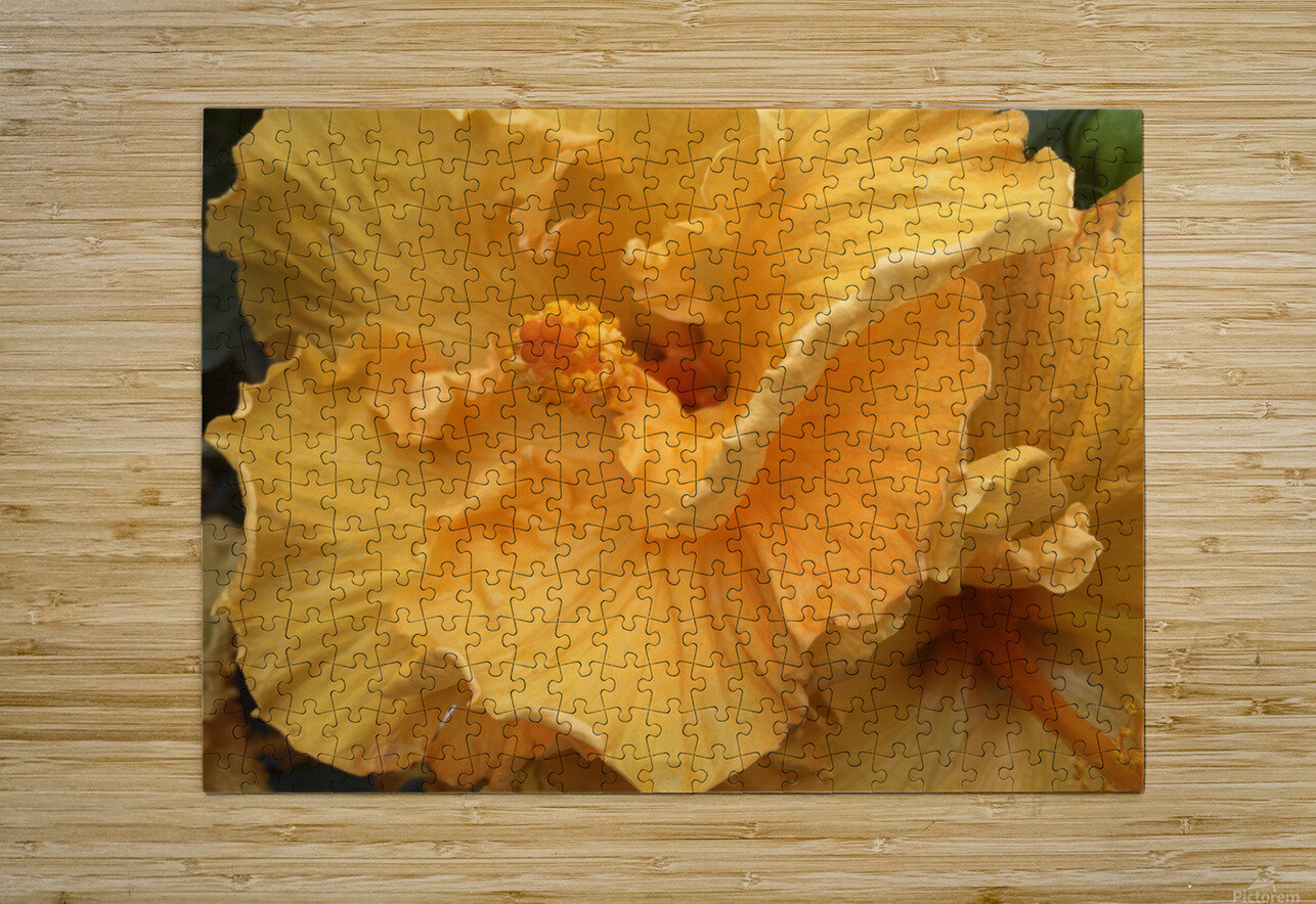Golden Yellow Hibiscus WRR Puzzle printing