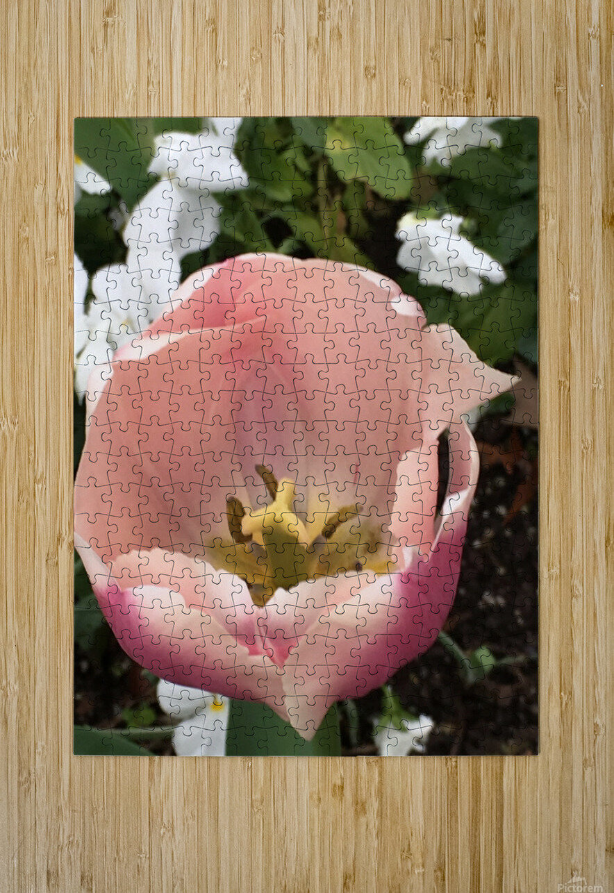 Tulip WRR Puzzle printing