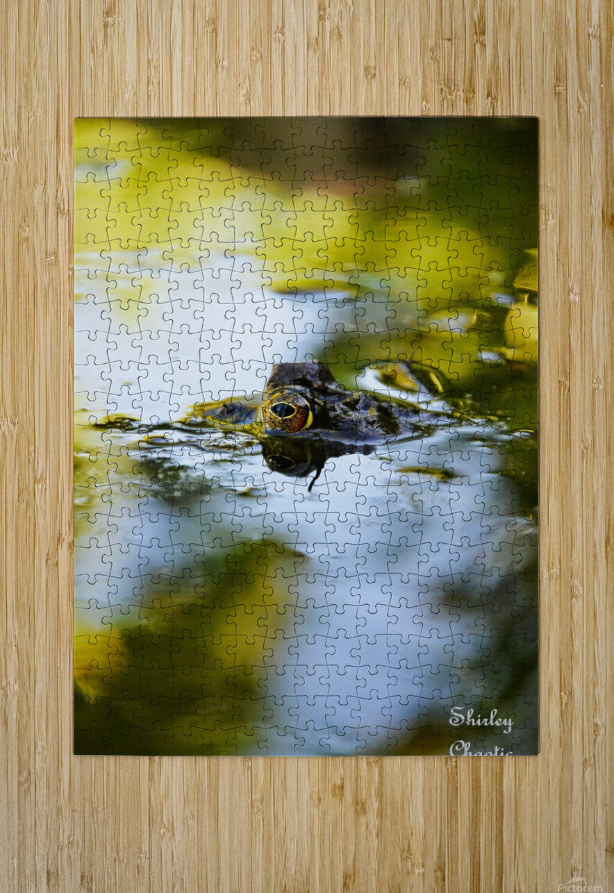 Theodore  Shirley Chaotic Puzzle printing